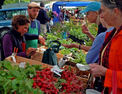 Farmers Market Solution